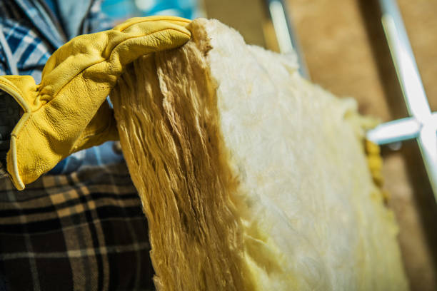 Best Insulation Maintenance and Repair in South Bradenton, FL
